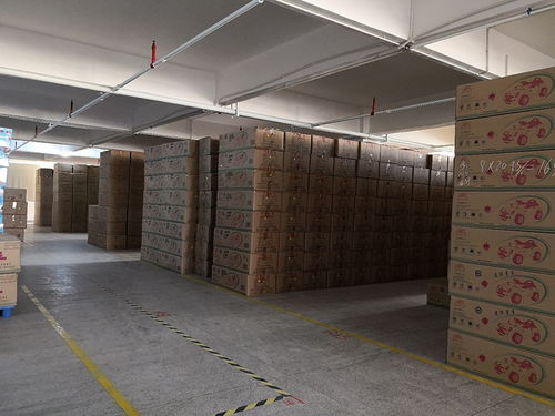 工厂揭秘丨美致宝科技 孩之宝青睐的玩具制造商，产品有多牛？